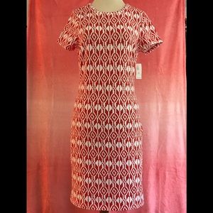 BRAND NEW- Cotton Knit Dress